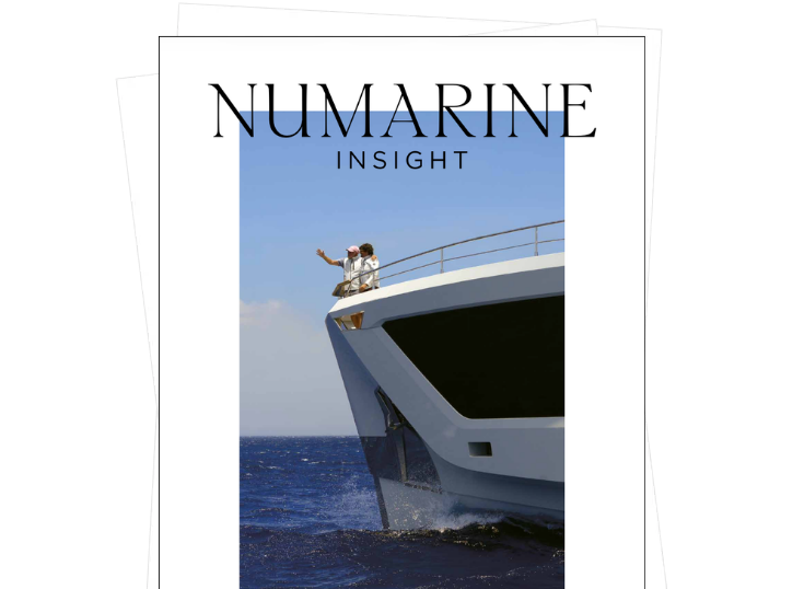Numarine Insight No.4 Cover